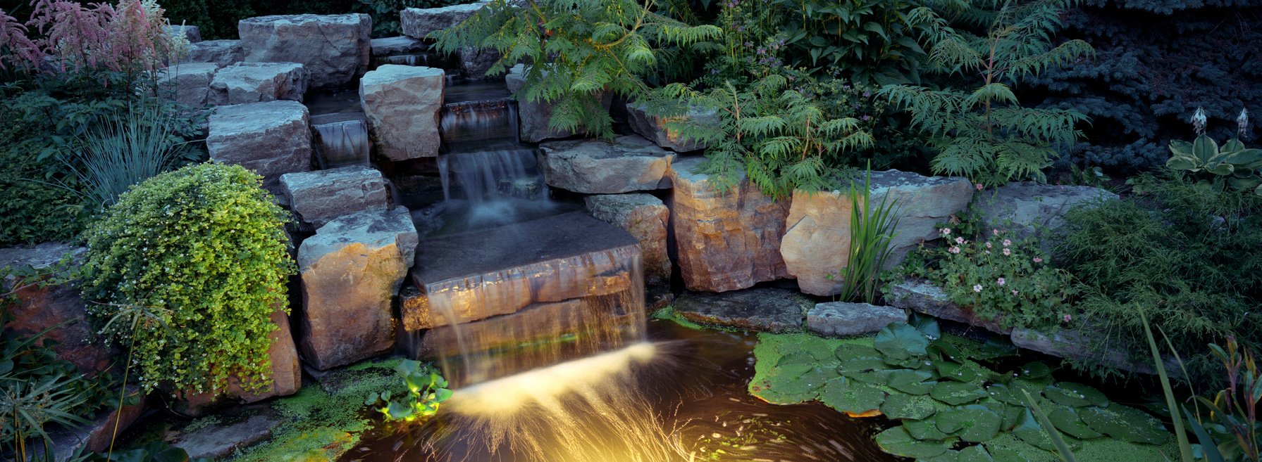 Garden at Night